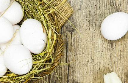 Osada Śnieżka, Górski Kompleks Wypoczynkowy