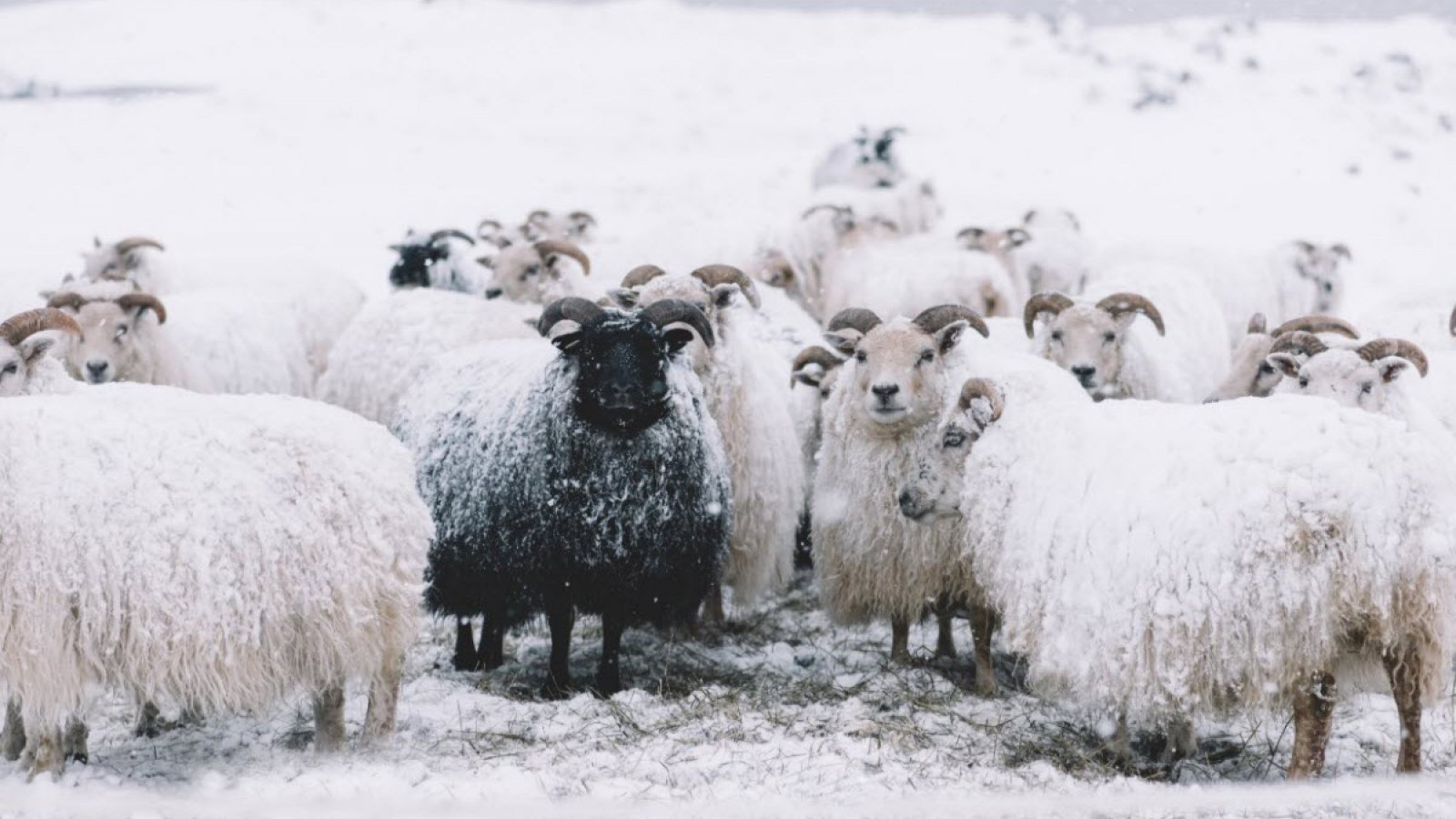 Hotel Piwniczna SPA&Conference