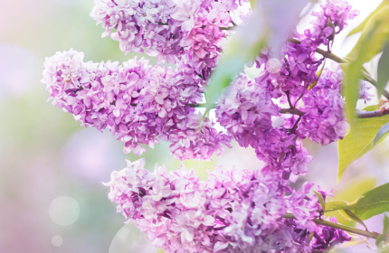 Ośrodek Wczasowy Groń Placówka