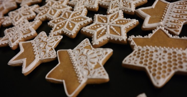 Hotel Żubrówka **** Białowieża